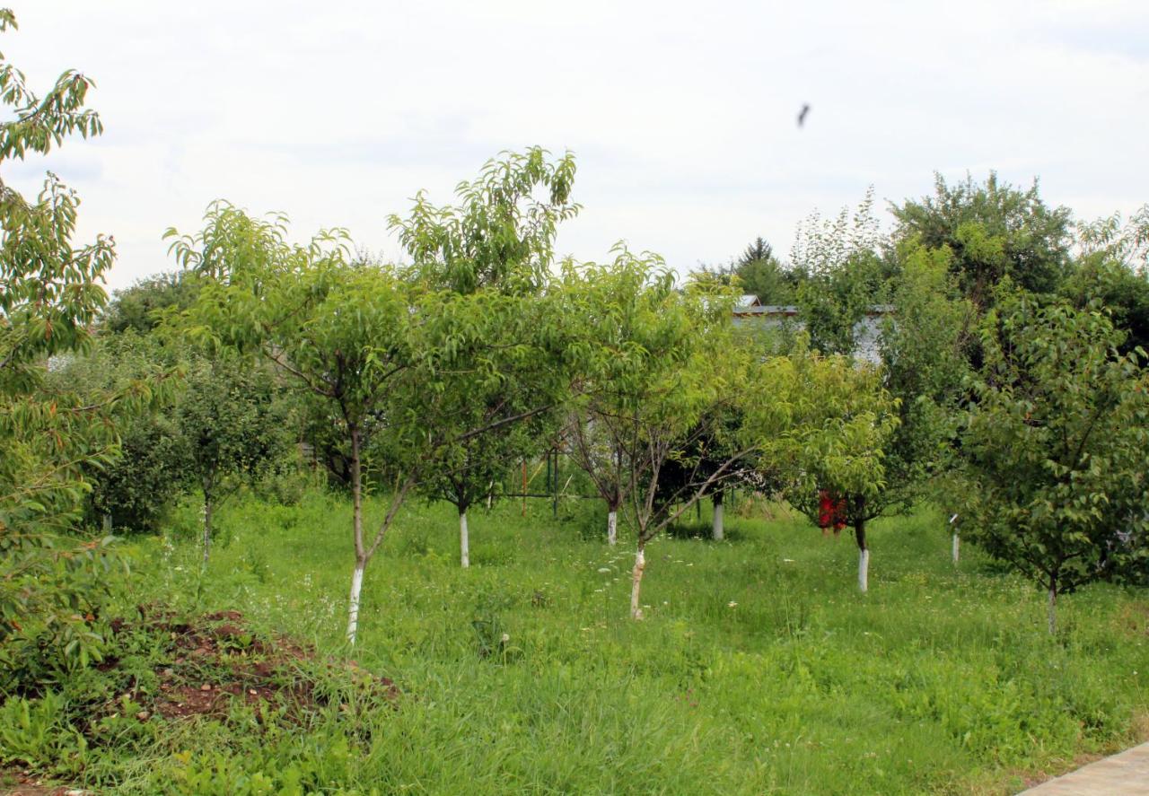 Anuta Breaza (Prahova) Exterior foto